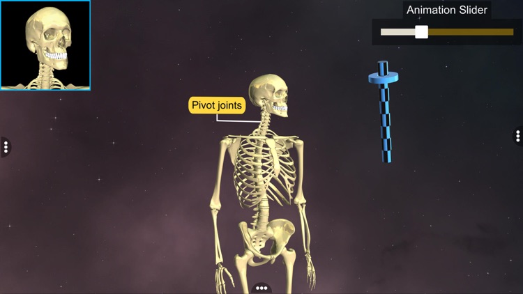 Joints: The Human Levers screenshot-4