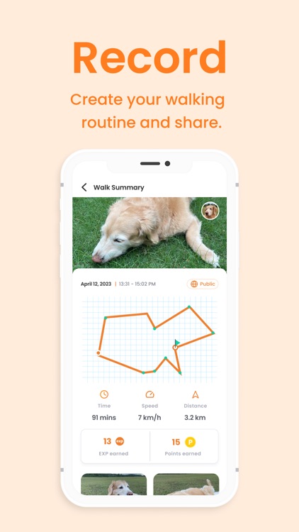 BERO - Dog Walking & Social screenshot-4