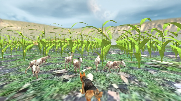 Shepherd Dog:Wild Animal Game screenshot-3
