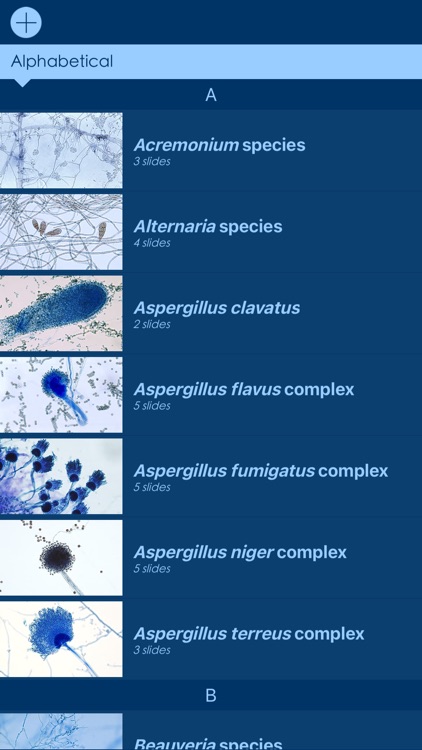 Mycology Image Atlas screenshot-3