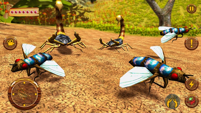 Black Scorpion Insect Life