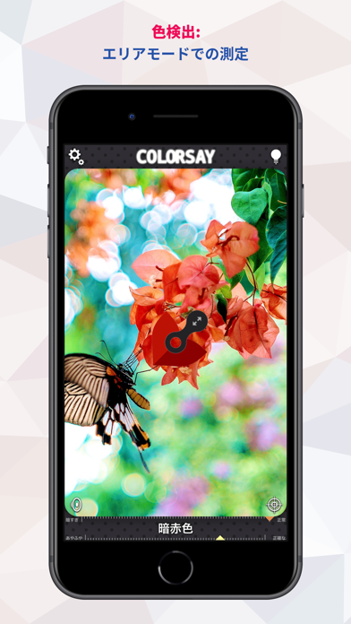 ColorSay • カラースキャナー screenshot1