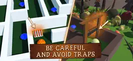 Game screenshot Crossing The Maze apk