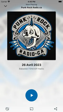 Game screenshot Punk Radio apk