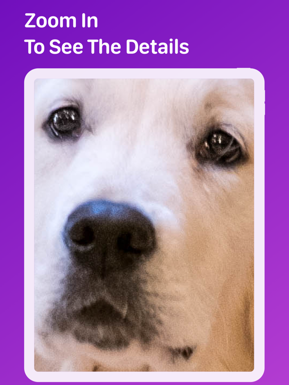 Pet Monitor VIGI Pet Monitor VIGI