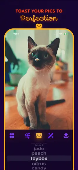 Game screenshot Photoaster - Toast Your Photos mod apk