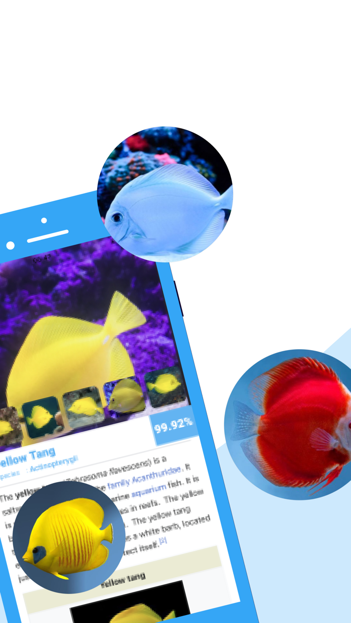 Fish identifier  find Fish