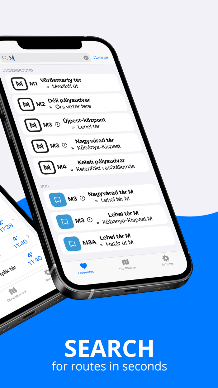 Hungary Public Transit