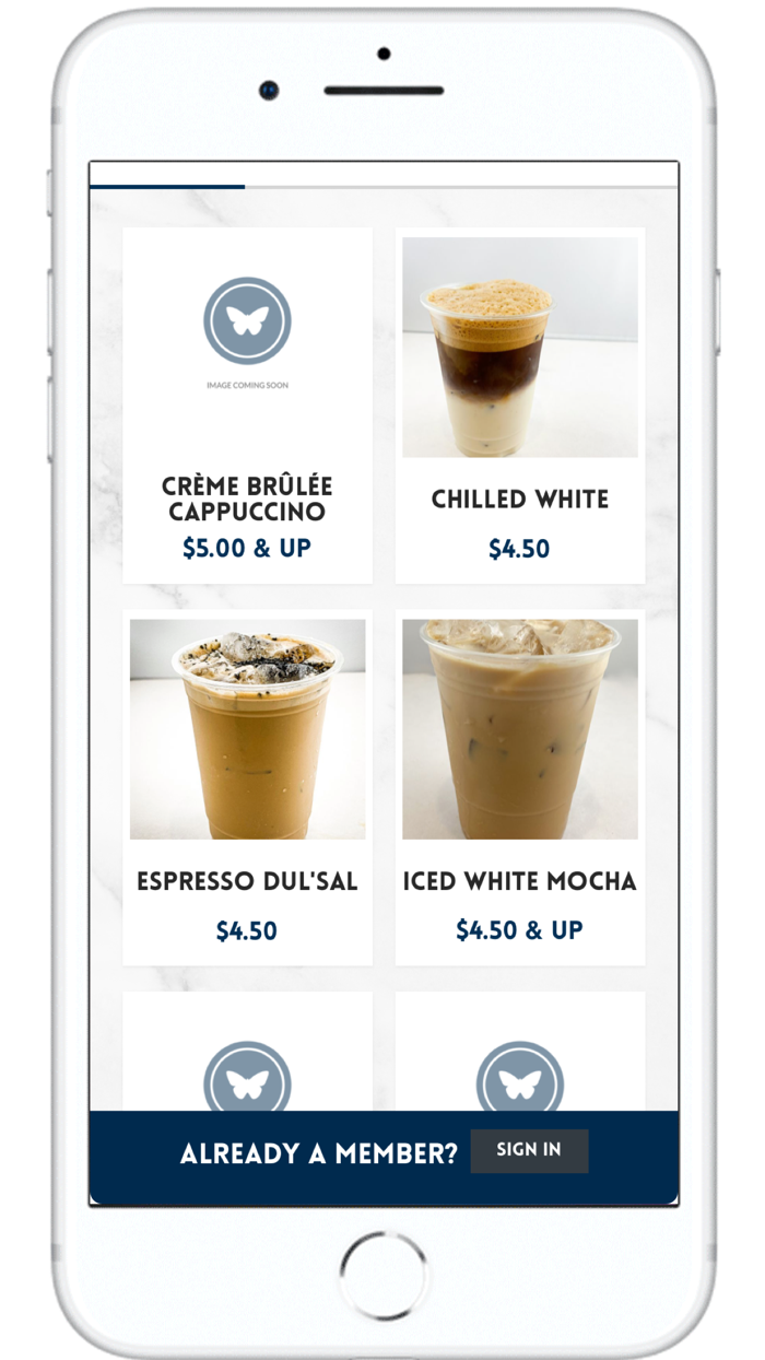 Blue Butterfly Coffee