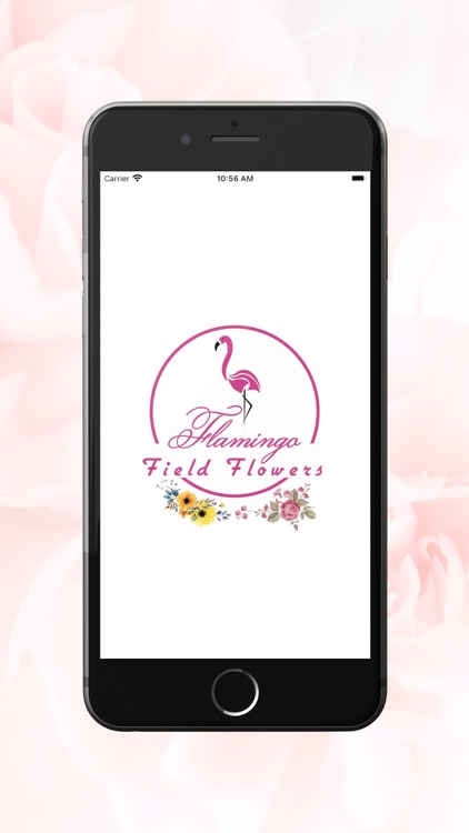 Flamingo Flowers فلامينكوللورد