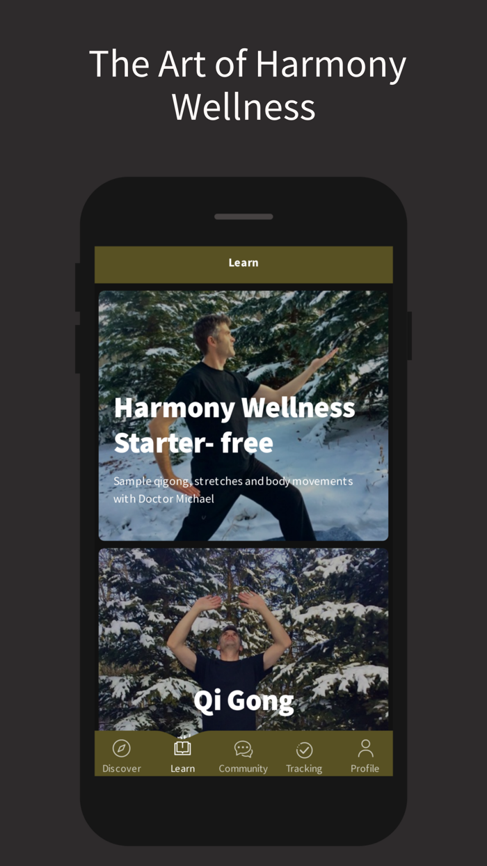 The Art of Harmony Wellness