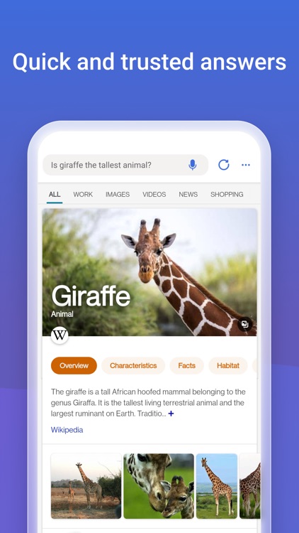 Microsoft Bing Search