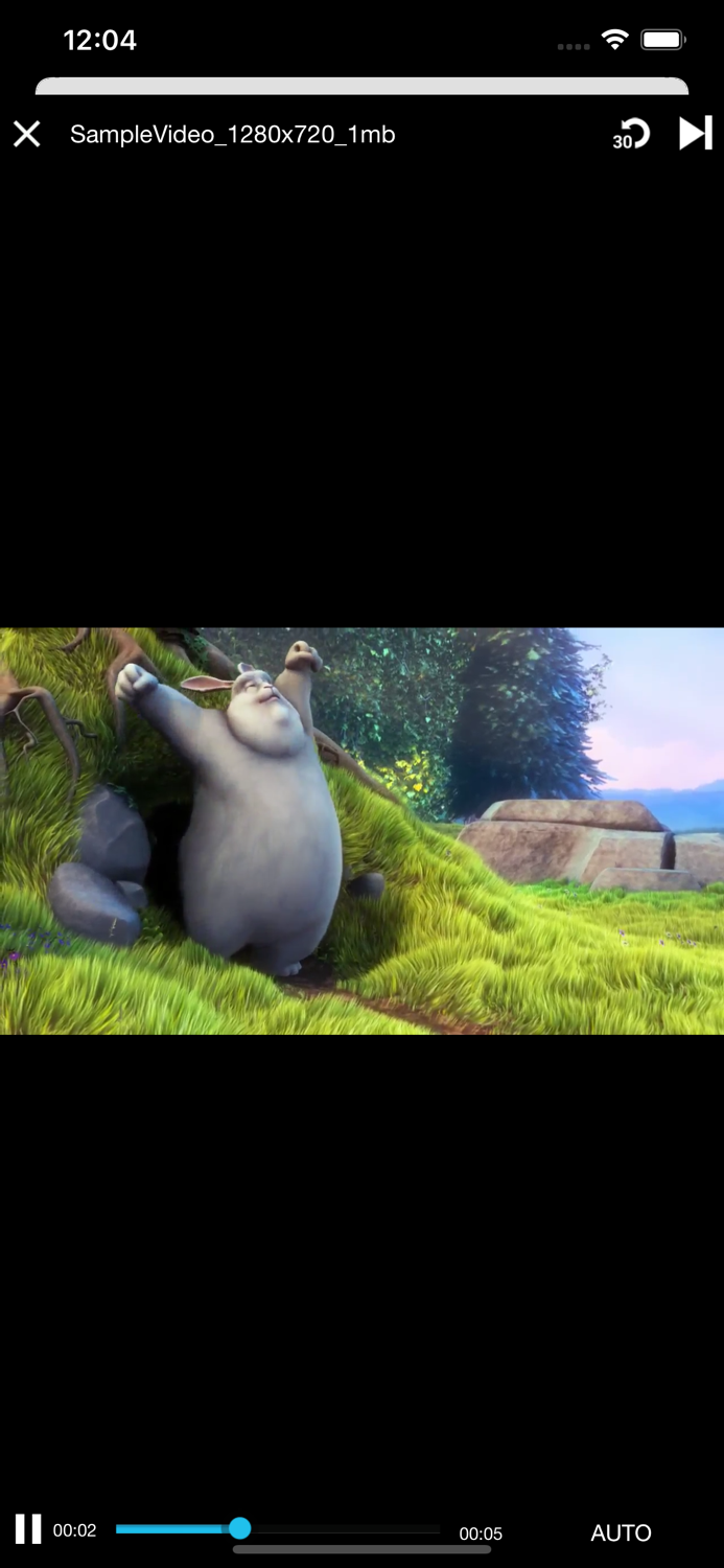 Media Locker - Secure Files