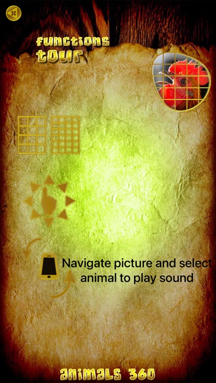Animals 360 - Wildlife Gold screenshot-3