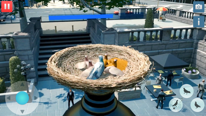 Hungry Pigeon Simulator Game