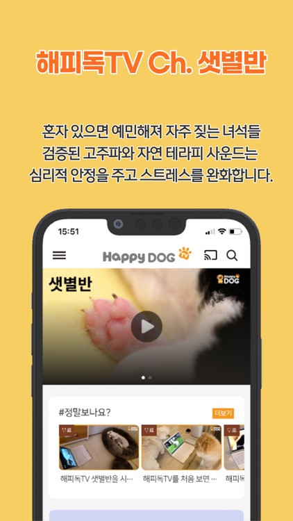 해피독(Happy Dog) - 우리아이 돌봄 서비스 screenshot-4