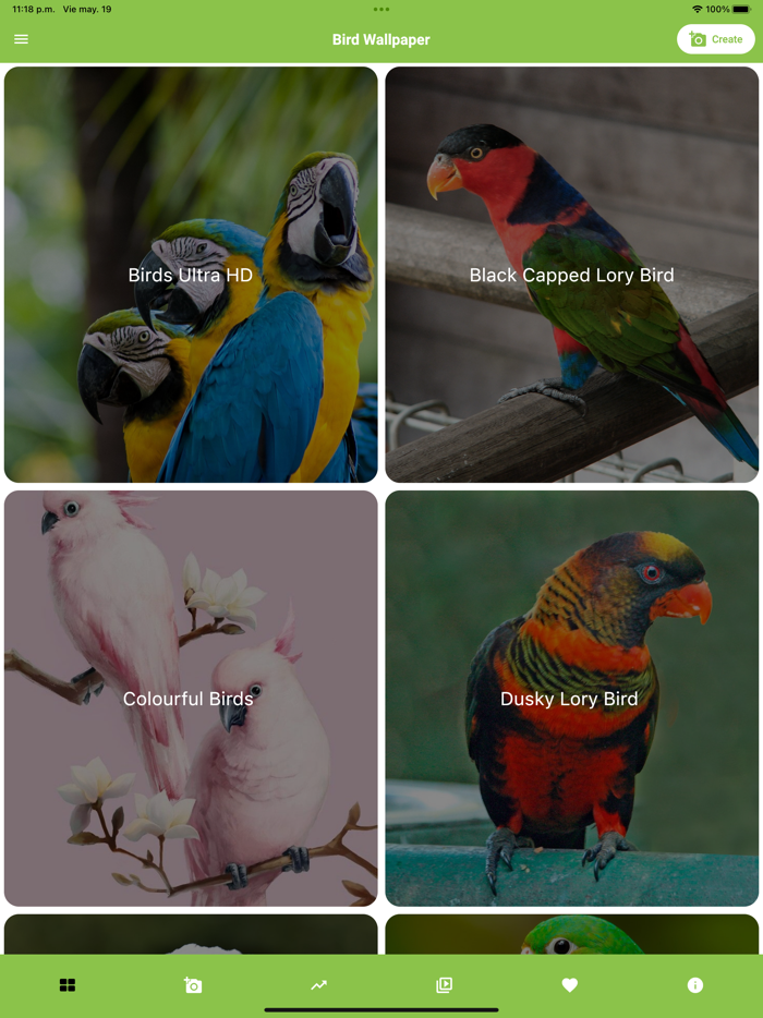 Birds live Wallpaper - 4k