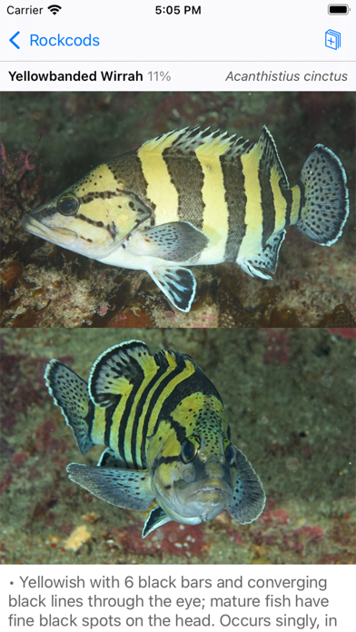 Lord Howe Fish ID screenshot 6