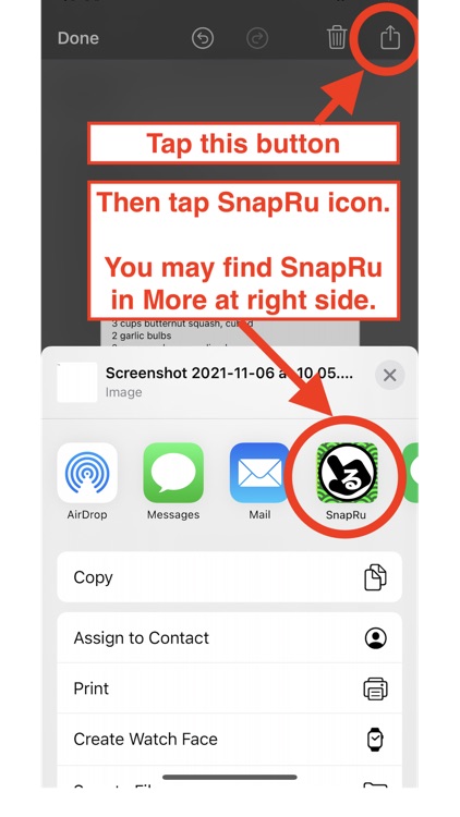 SnapRu screenshot-3