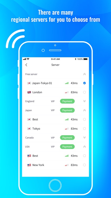 PeanutVPN screenshot-3