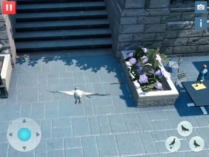 Hungry Pigeon Simulator Game