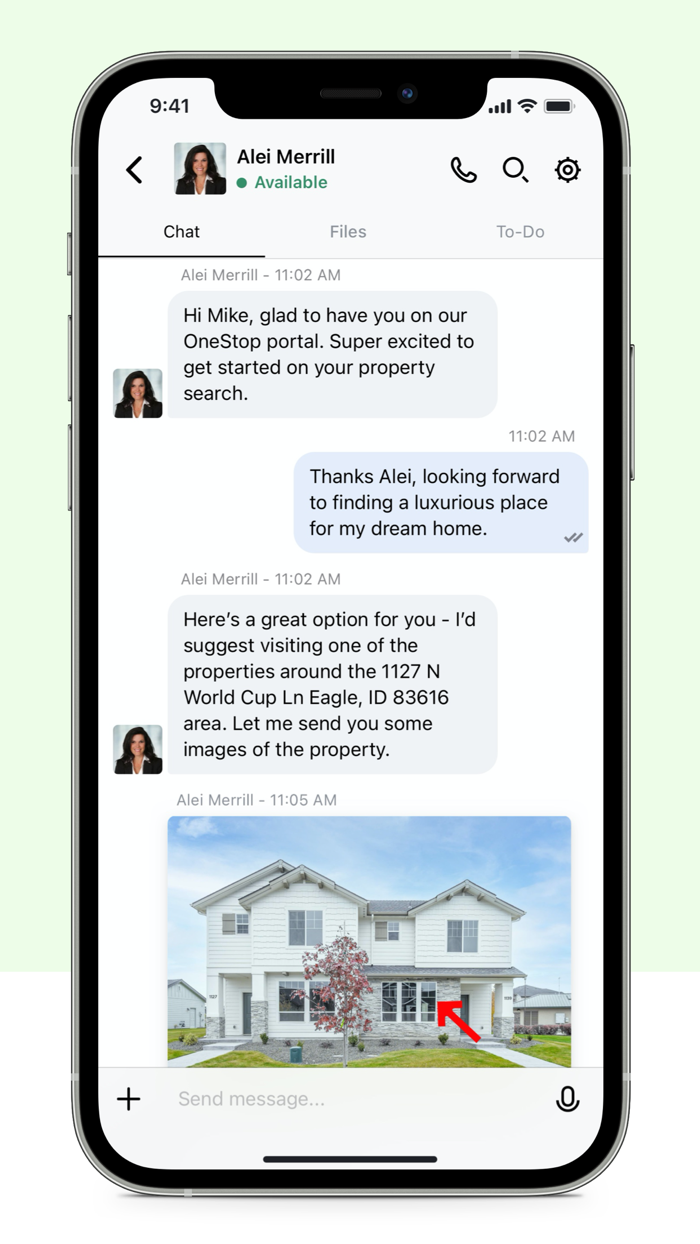 Alei Merrill Real Estate