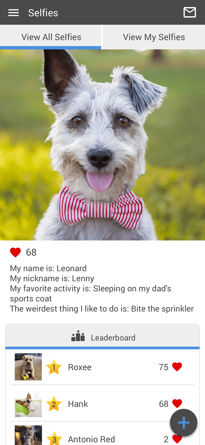 At Home Veterinary Care