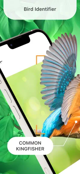 Game screenshot Bird Identifier Identify Bugs mod apk