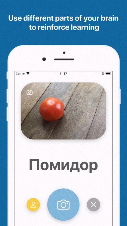 Russian for Absolute Beginners screenshot-4