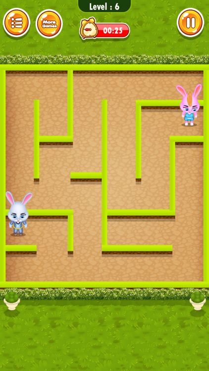 Bunny Maze Runner