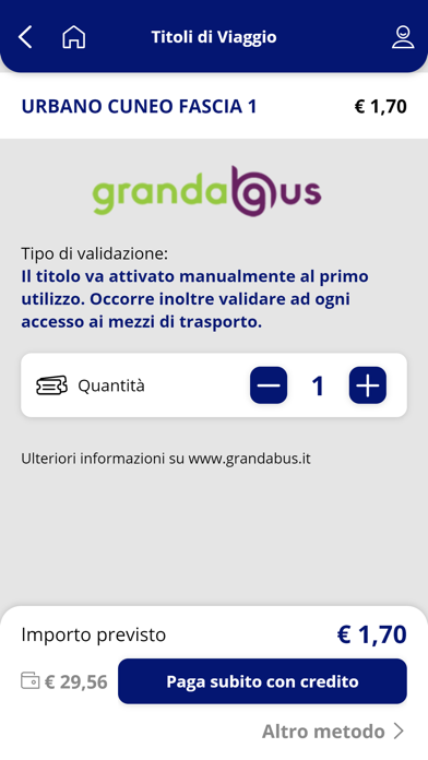 GRANDABUS screenshot 3