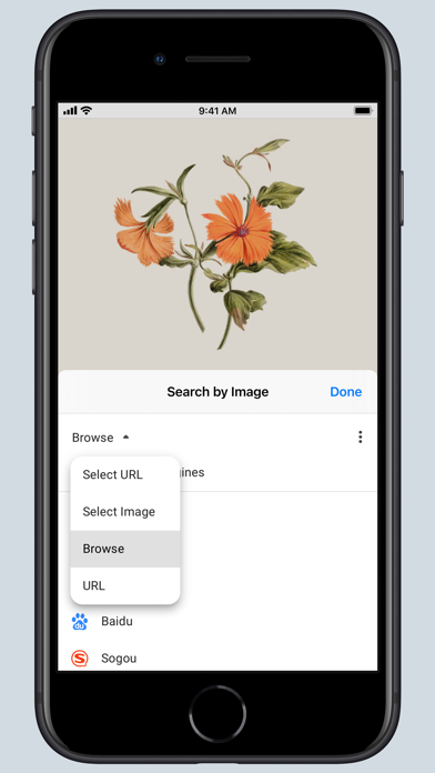 search-by-image-for-safari-ipad-screen-shot-2