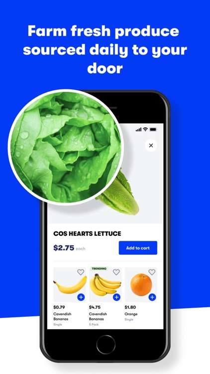 MILKRUN: Groceries in mins