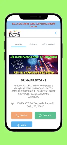 Game screenshot Brixia Fireworks apk