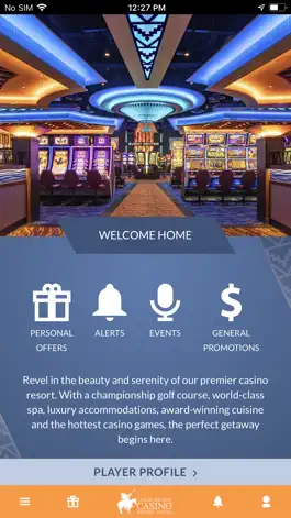 Game screenshot CDA Casino mod apk