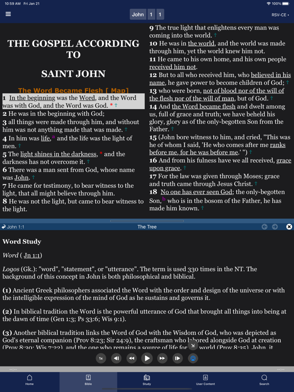 Bible - Catholic Study screenshot 3