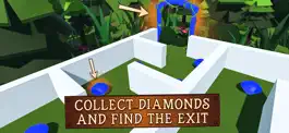 Game screenshot Crossing The Maze mod apk