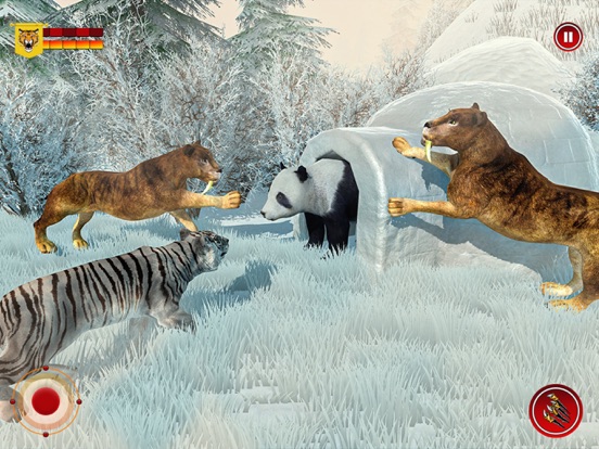 Wild Snow Tiger Safari Animal screenshot 3