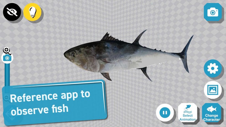 Fish 3D Reference screenshot-0