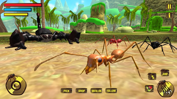 Wild Spider Tarantula Hunter