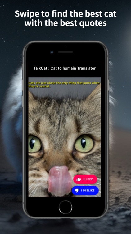 Talkcat : cat translator screenshot-4