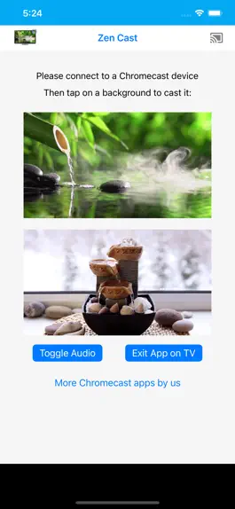 Game screenshot Relaxing Zen Backgrounds on TV apk
