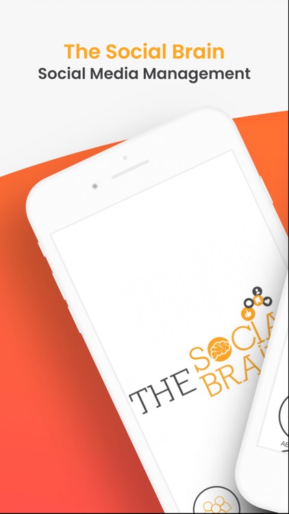 The Social Brain By JELLYBEAN SOCIAL LIMITED