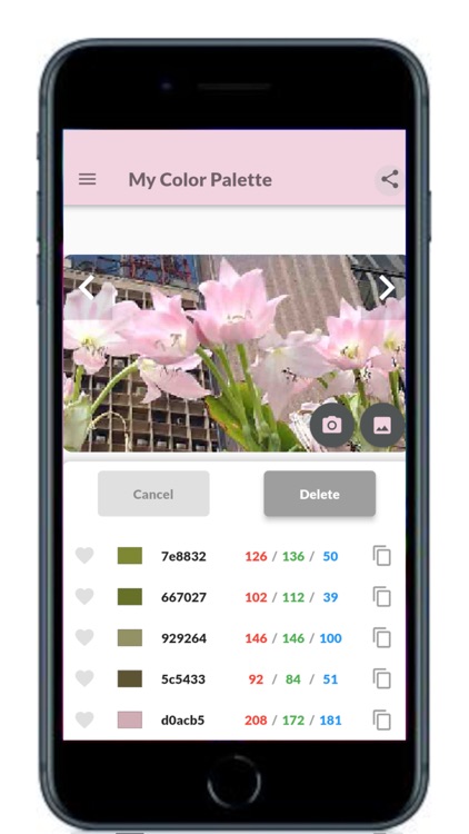 My Color Palette with Photos screenshot-8