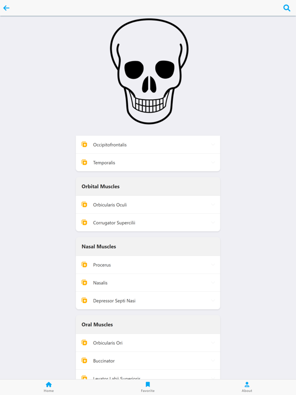 Human Anatomy Learning screenshot 2