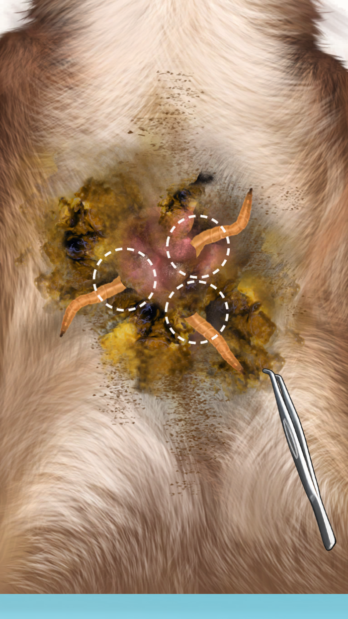 Cat ASMR Salon Makeover