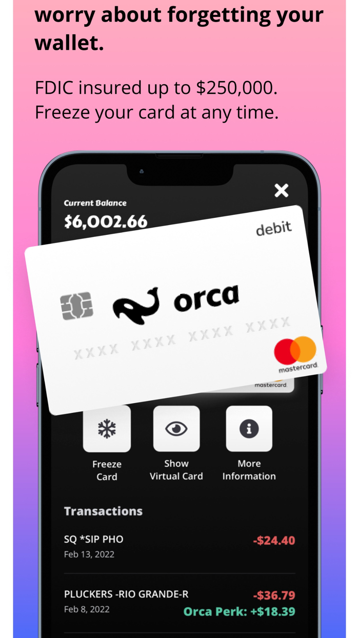 Orca - Spend, Split, Save