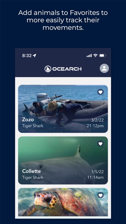 Ocearch shark tracker