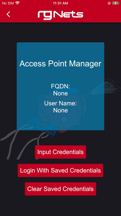rXg Account Details Editor
