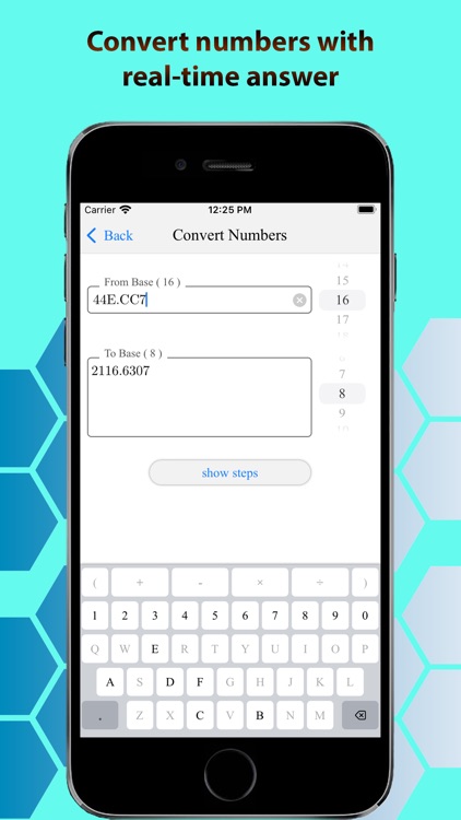 Calculator of Number Systems